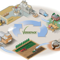 Organic Recyclable Plates Infographic